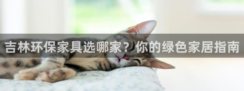 杏耀开户app下载