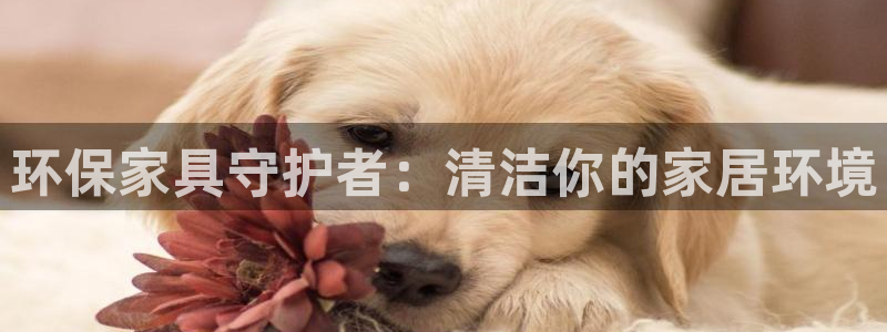 杏耀平台手机app