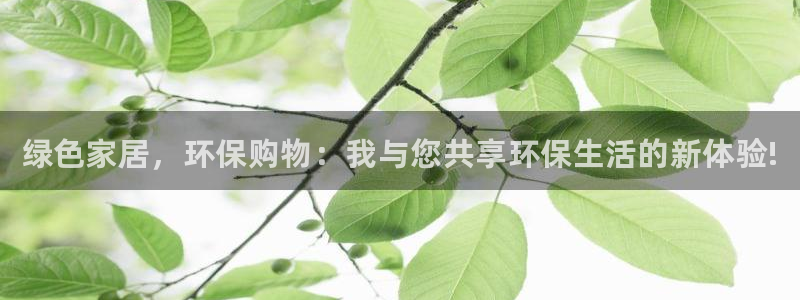 杏耀平台分红：绿色家居，环保购物：我与您共享环保生活的新体验