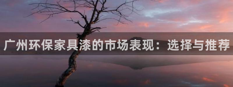 杏耀登陆电脑线路测速：广州环保家具漆的市场表现：选择与推荐