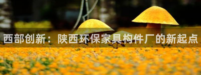 杏耀平台测速地址：西部创新：陕西环保家具构件厂的新起点