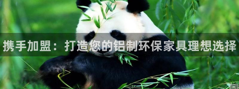 杏耀平台代理怎么赚钱的