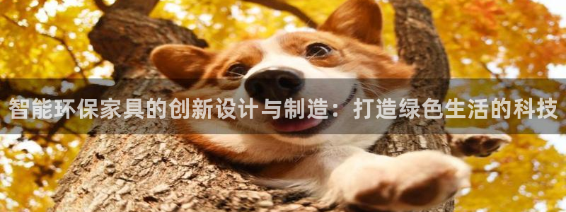 杏耀平台官网下载：智能环保家具的创新设计与制造：打造绿色生活