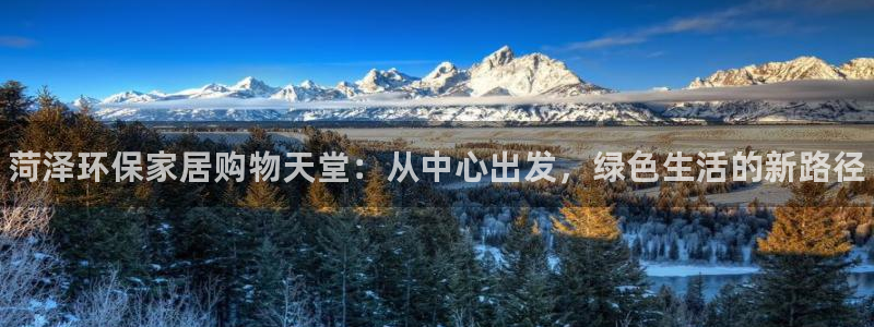 杏耀平台得专用通道：菏泽环保家居购物天堂：从中心出发，绿色生